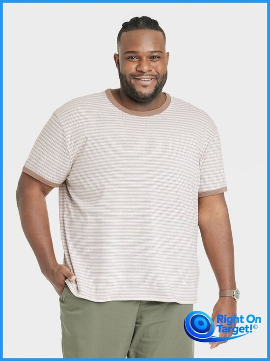 Goodfellow & Co Other - XXL Tall - Mens Striped Short Sleeve T-Shirt - Goodfellow Co - Brown